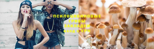эйфоретик Армянск
