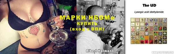 кокс Арсеньев